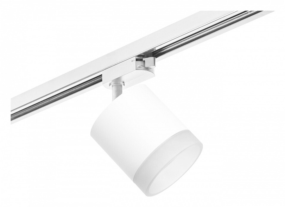 Светильник на штанге Lightstar Rullo R1T348680