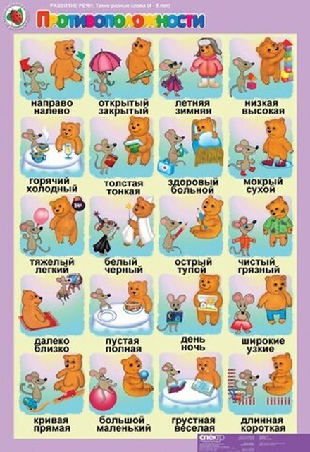 Развитие речи 4-5 лет. "Такие разные слова".