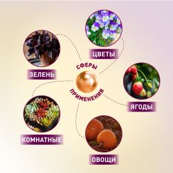 Фитопрожектор для растений светодиодный ЭРА FITO-50W-Ra90-LED для цветения и плодоношения полного спектра 50 Вт