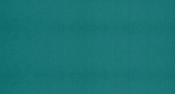 Атлас Kiwi (Киви) 13