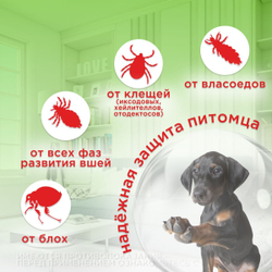 Капли для плотоядных животных от блох, клещей, вшей и власоедов для плотоядных животных Дана Спот-Он (Apicenna), 15мл Фипронил