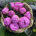 🌸♛ Александр Флеминг (Dr. Alexander Fleming) — букет ароматных пионов — 8 марта у Феи