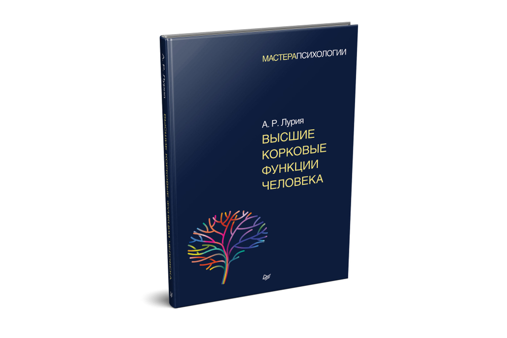 Высшие корковые функции человека