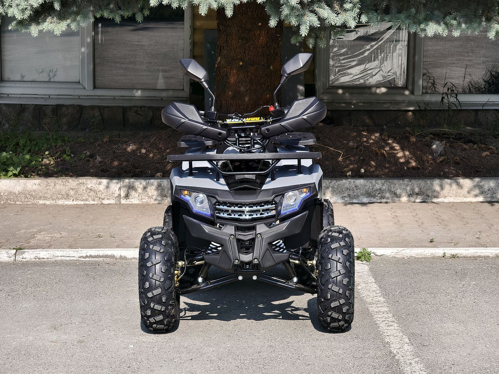 Lion 125 AA серый