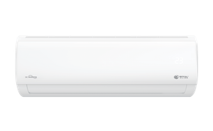 TRIUMPH LITE Inverter