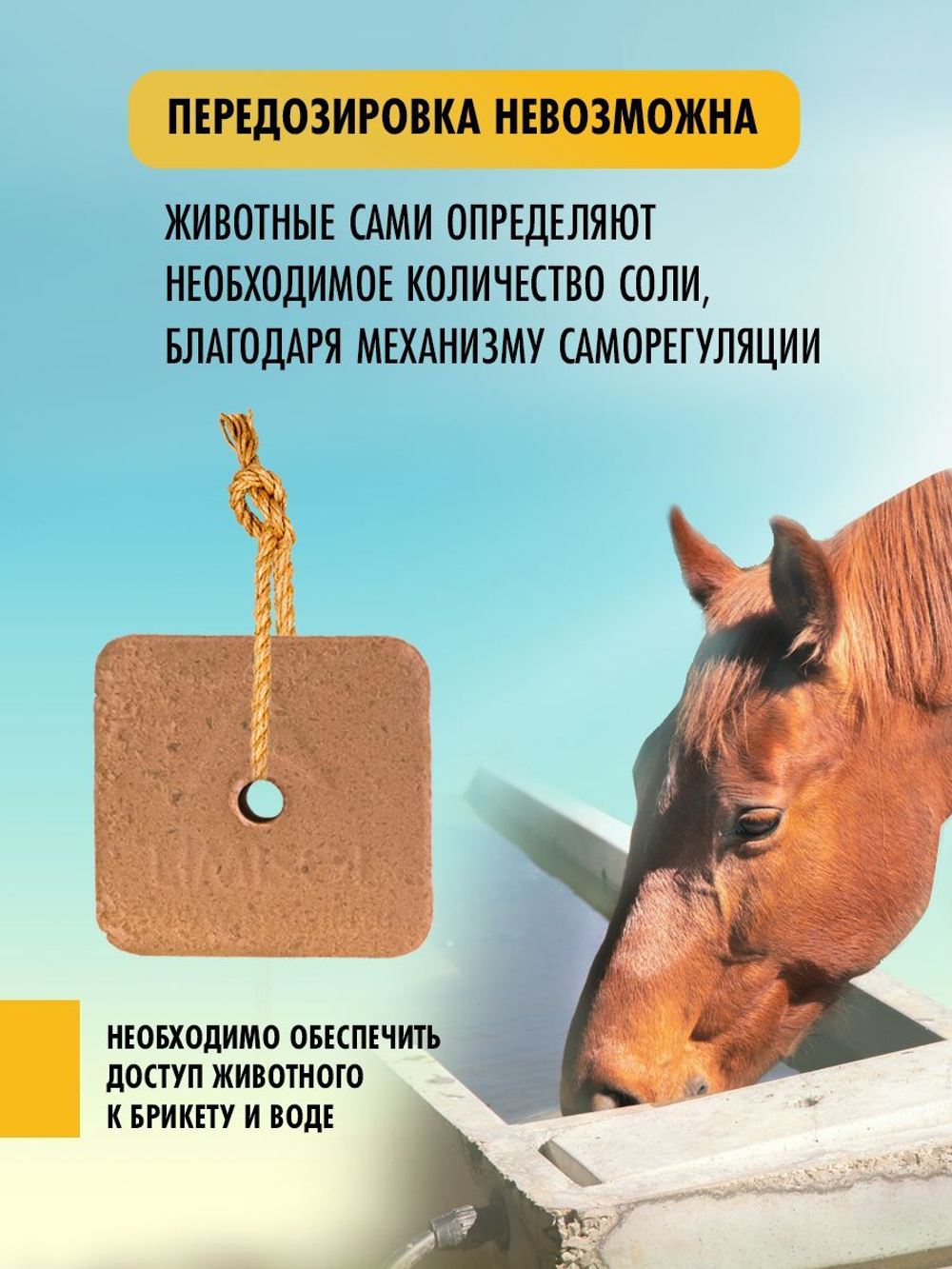 Соль лизунец  для животных лошадей Мустанг