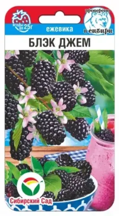Ежевика Блэк Джем 10шт (Сиб Сад)