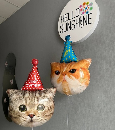 Набор шаров «Недовольные Кот и Кошка»