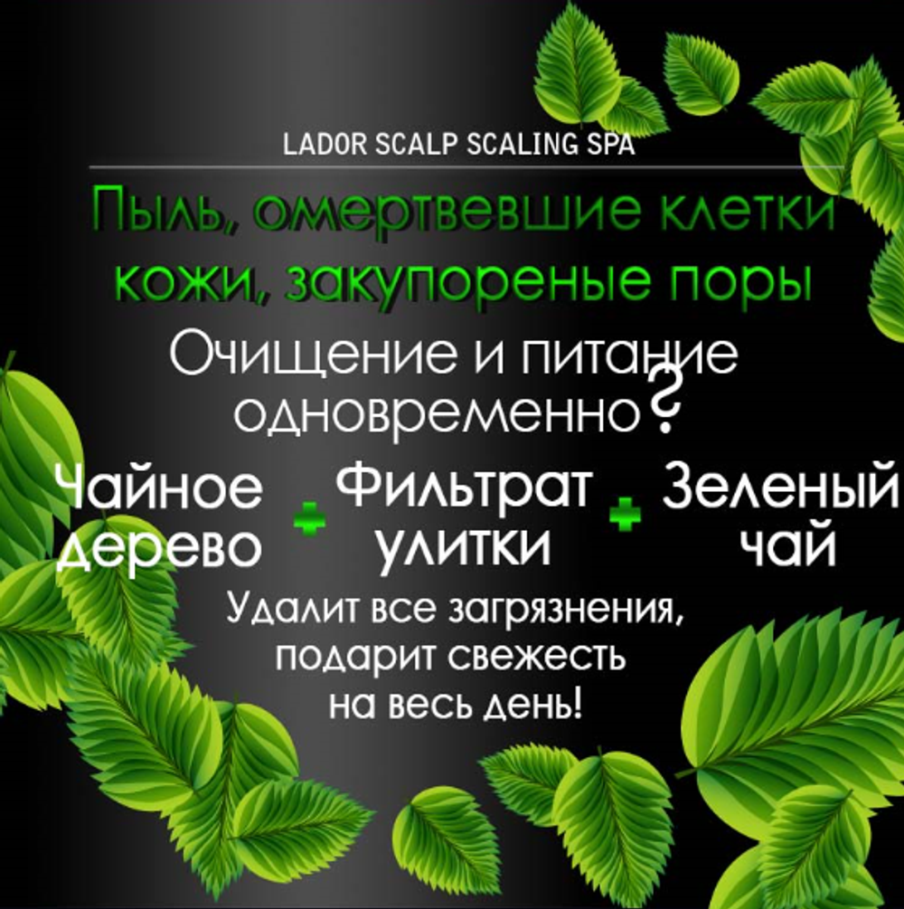 La'dor Пилинг для кожи головы Scalp Scaling SPA, 19 г, 15 мл, туба