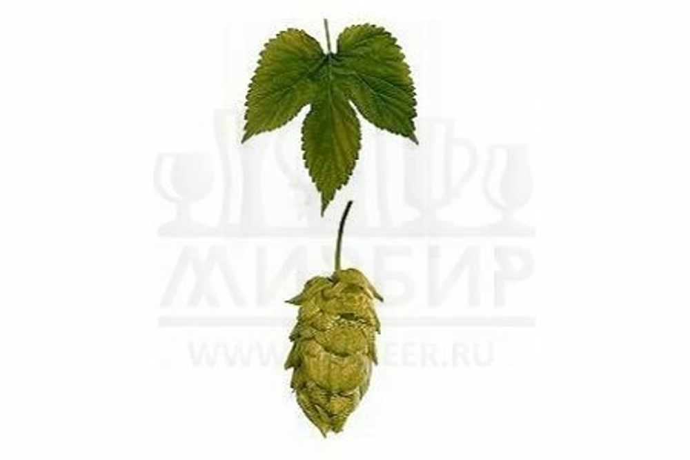 Хмель Nugget, 1 кг