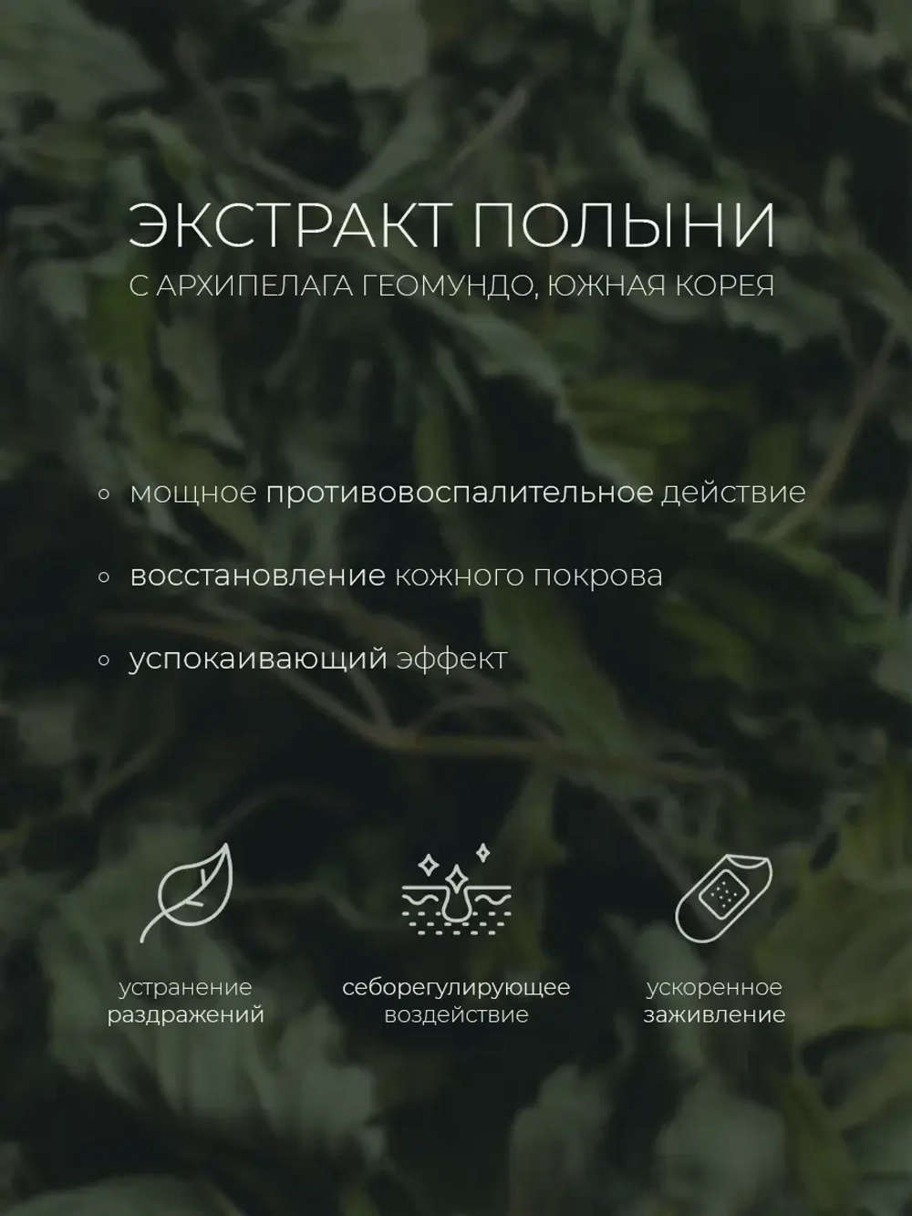 Round Lab Успокаивающая сыворотка с экстрактом полыни Mugwort Calming Serum 50 мл