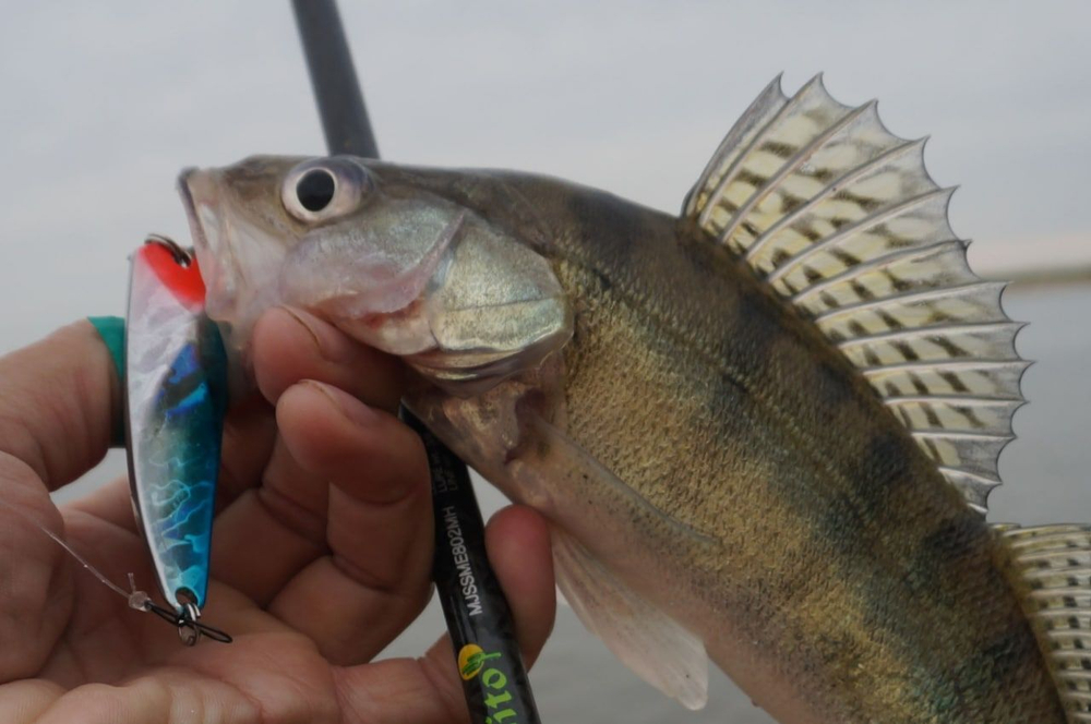 Блесна для рыбалки LureMax Hoyt