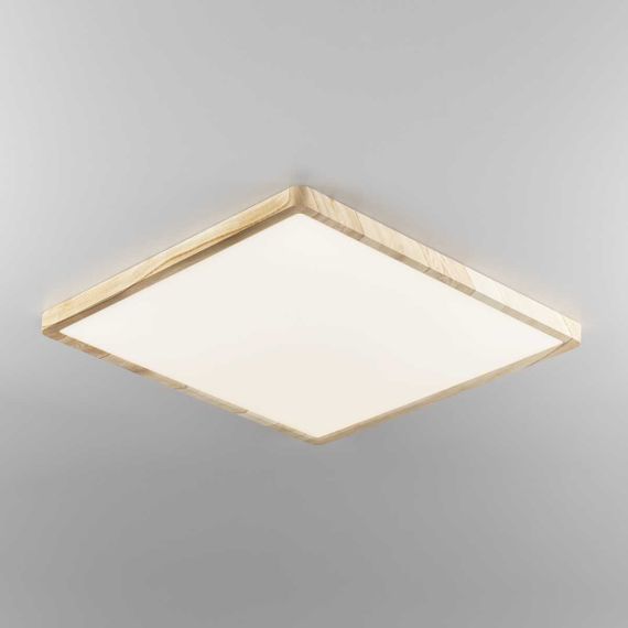 Светильник накладной Citilux Бейсик CL738K502V