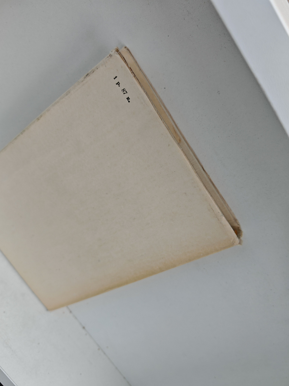 Томмазо Сальвини (Жизнь в искусстве)