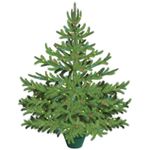 Ель декоративная Bondibon "Самая компактная Елка "Укрась своими руками!", 120*160см