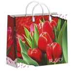 Пакет подарочный 30+10см Из мягкого пластика(Браво) Интерпак (х1)
