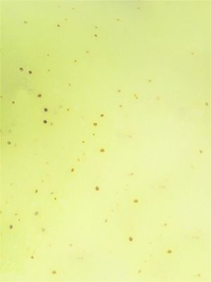 COTTAGE.Гель для душа отшелушивающий - ВАНИЛЬ / Exfoliating Shower Gel - Delicious Vanilla 270 мл