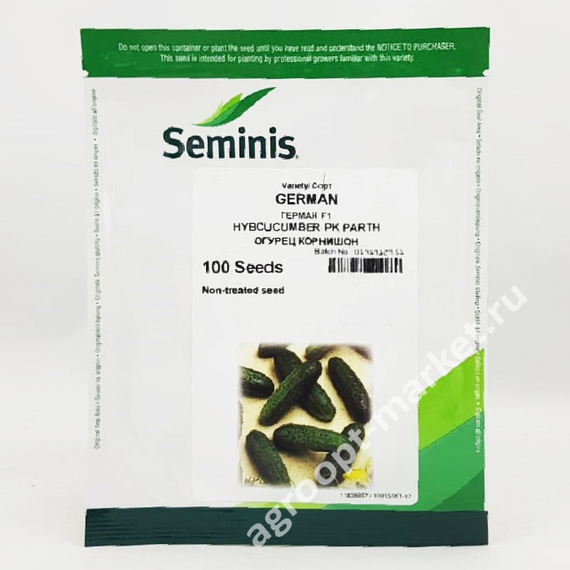 ГЕРМАН F1 семена огурца (Seminis | Alexagro) – фото 25