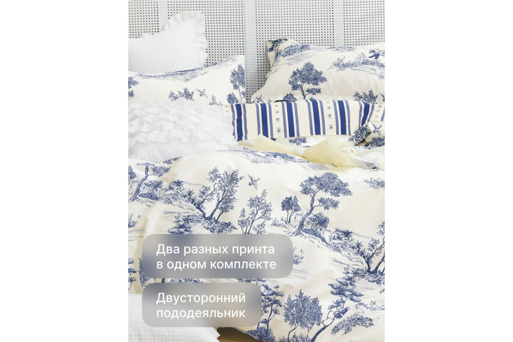 Постельное белье GoodNight Сатин Делюкс В113 с компаньоном дуэт (с нав. 50х70)