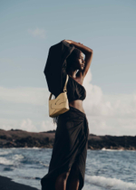 Сумка Polene NODDE EDITION SMOOTH OAT