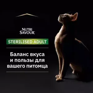 Влажный корм для кошек Pro Plan Sterilised для стерилизованных кошек желе с индейкой, 85гр