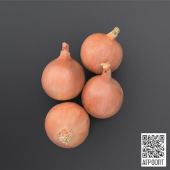 Онайда F1 семена лука репчатого (Bejo / Бейо)