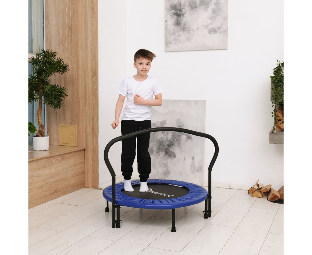 Батут с поручнем DFC JUMPFIT 36'' синий