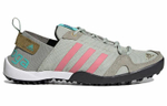Кроссовки Adidas Terrex Daroga Two 13
