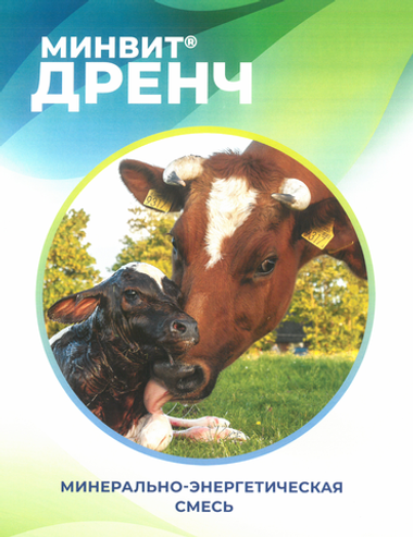 МИНВИТ® ДРЕНЧ - Пробиотик и гепатопротектор для новотельных коров