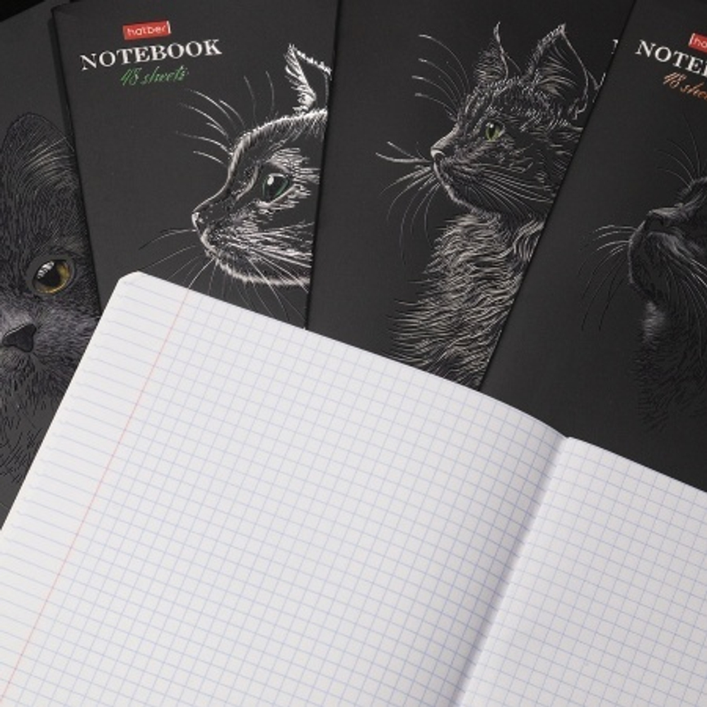 9rrjulhkloodpaijuiy8cgwzgwdvkcam