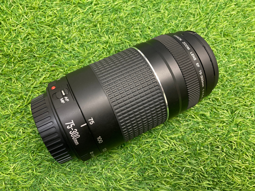 Canon EF 75-300mm 4-5.6 III