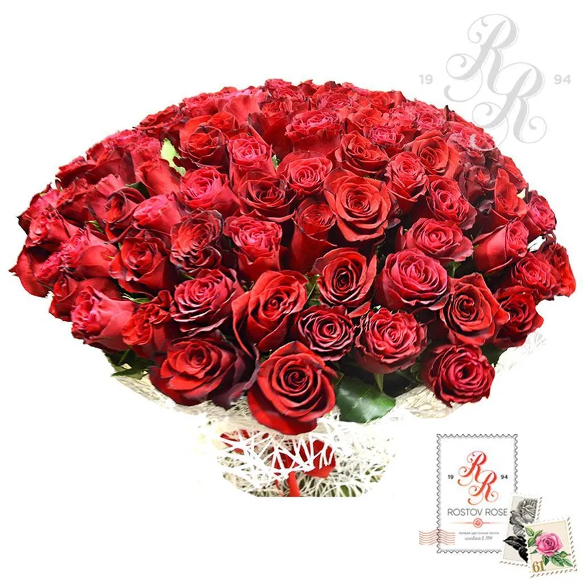 Букет 15 красных роз (Эквадор)