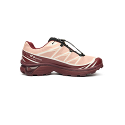 Кроссовки Salomon XT-6 GTX "Mahogany Rose"