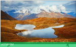 Телевизор LG 55UR801C