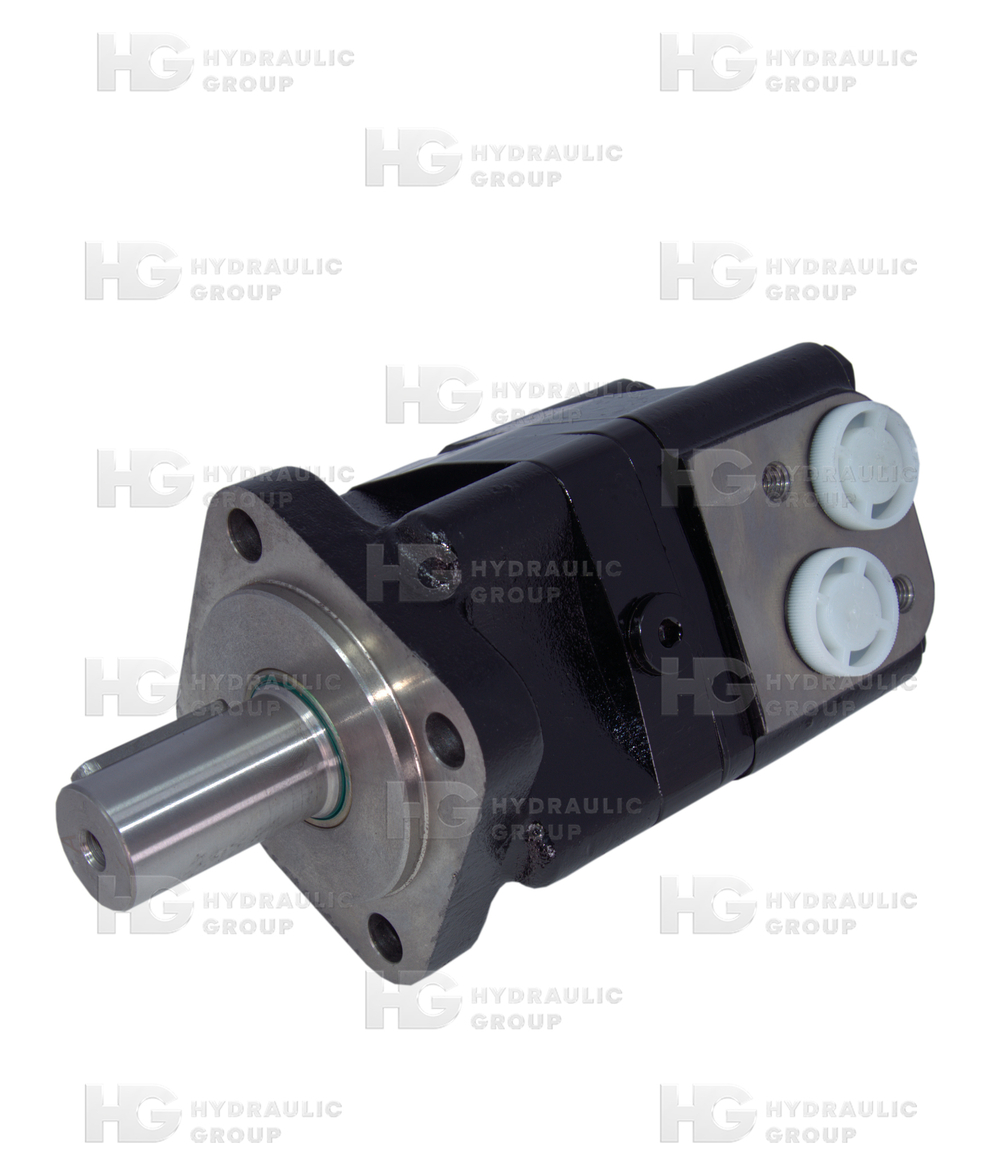Гидромотор героторный BM3-125P10AY2/T11