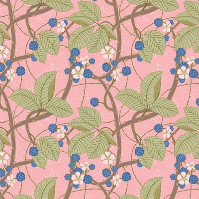 Ежевика на розовом