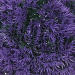 Искусственное растение шар «Самшит» цветы фиолетовые D-15см Ultramarine