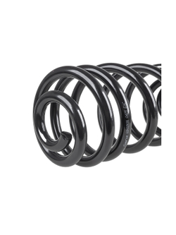 Пружина задняя L=R CHEVROLET Orlando GANZ GIK02631