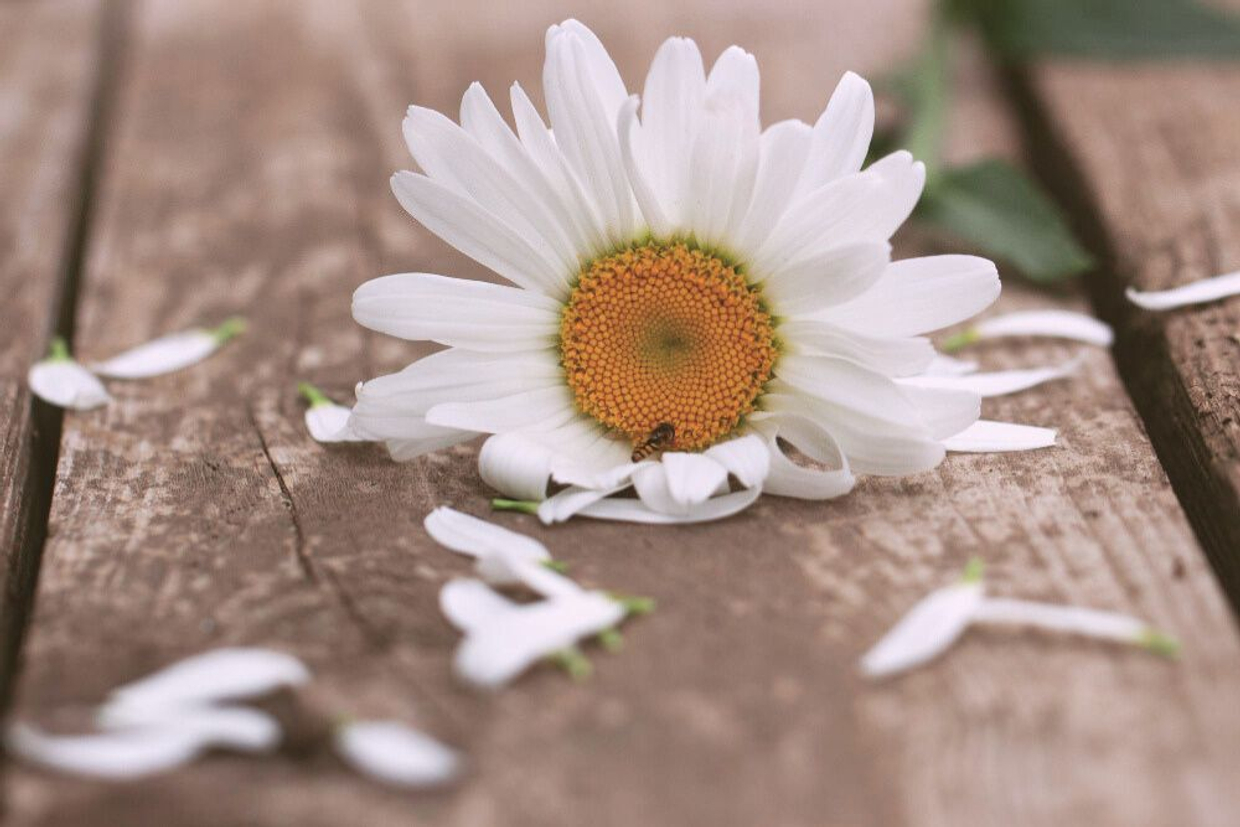 Пережить влюбленность