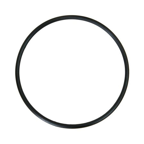 Кольцо уплотнительное для колбы AQUAPOST SL 10&quot; 25513