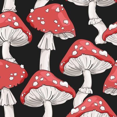 Мухоморы на черном фоне