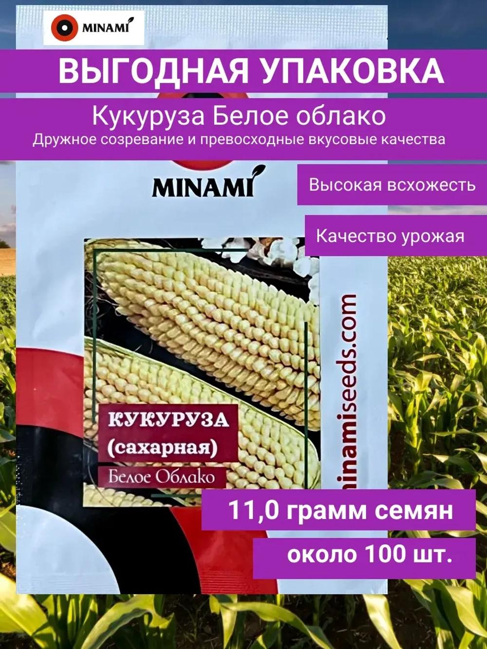 Кукуруза сахарная попкорн Белое Облако