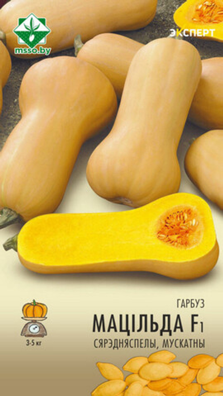 Тыква мускатная "Матильда F1" 5шт, Нидерланды.