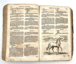 Винтер Г. С. Гиппиатр. Эксперт по лошадям, или полное собрание по медицине. 1678