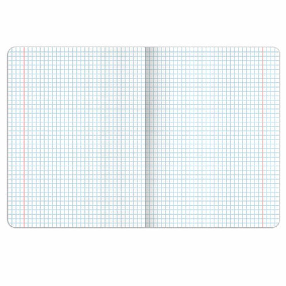 Тетрадь предметная PIGMENT 48 л., глянцевый УФ-лак, ИСТОРИЯ, клетка, подсказ, BRAUBERG, 404765