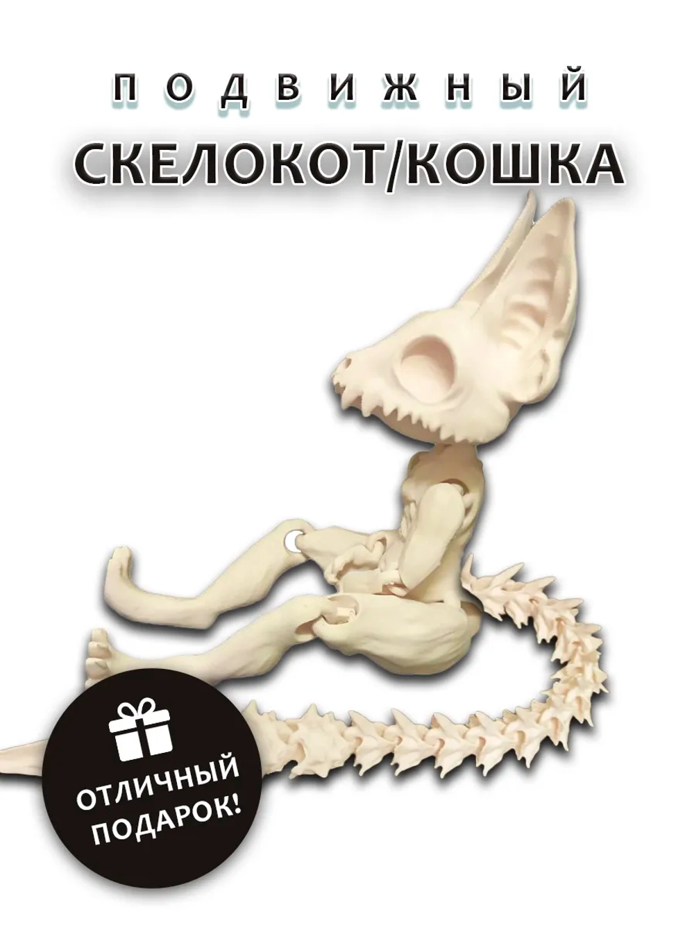 Скелет Кошки