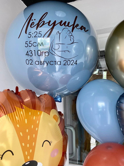 Воздушные шары на выписку из роддома №1107