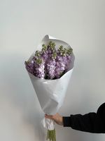 Охапка маттиолы в фиолетовом оттенке 10 шт