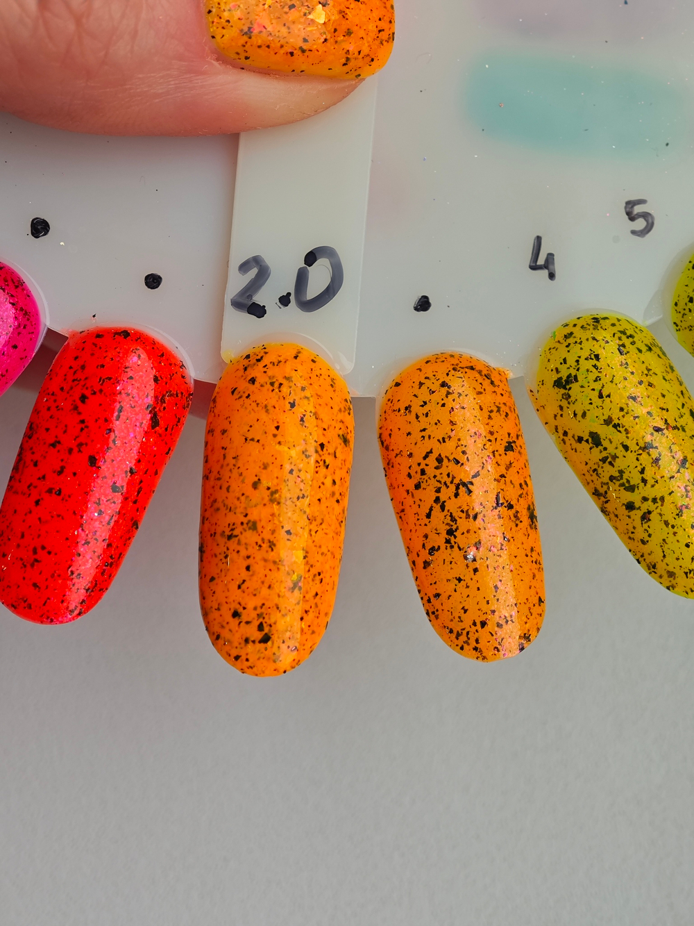 Cock-of-the-Rock 2.0