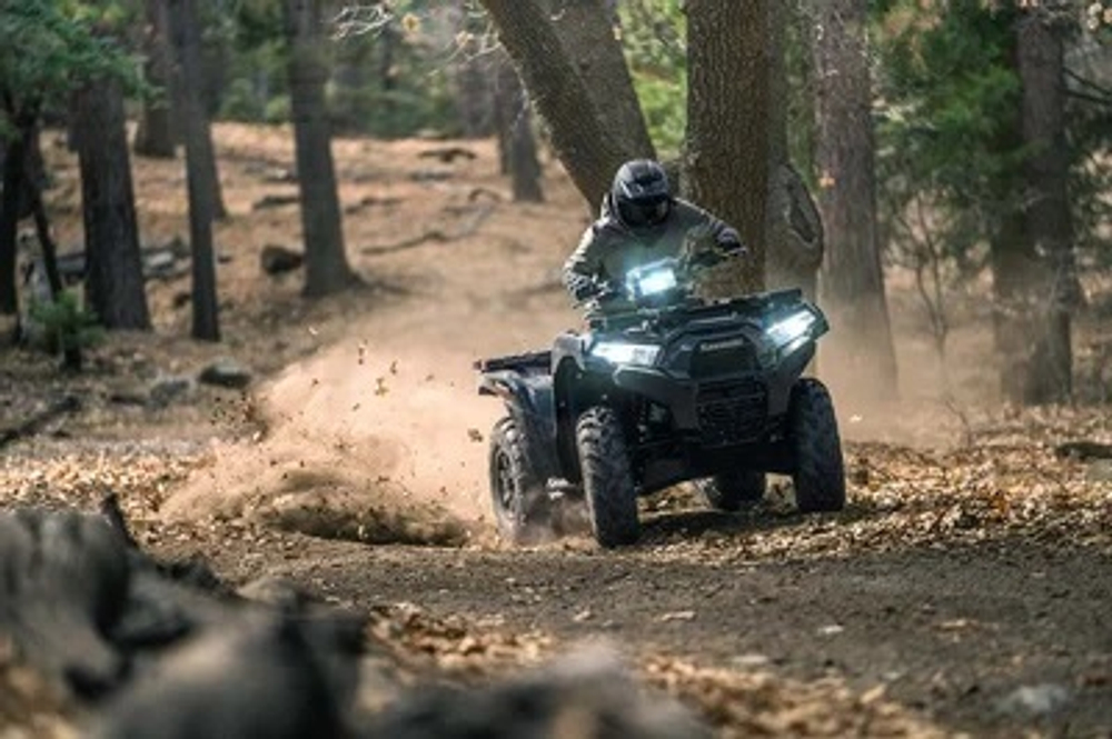 Квадроцикл Kawasaki Brute Force 750 EPS (2024)